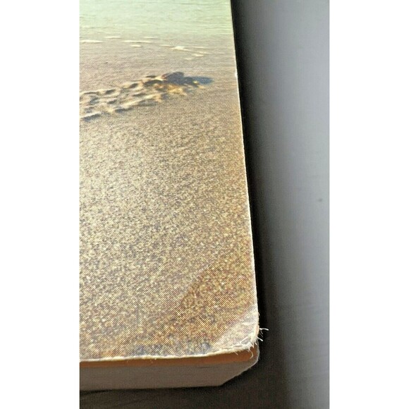 Nicholas Sparks Books Lot 3 Books Romance Novels Last Song, Notebook, Dear John - Picture 10 of 15